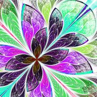Beautiful multicolor fractal flower Computer generated graphics N8