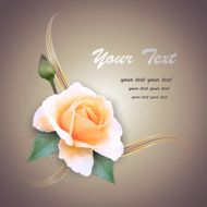 Greeting card with rose vector illustration N2
