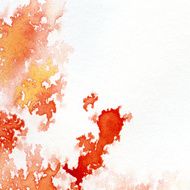 watercolor background N363