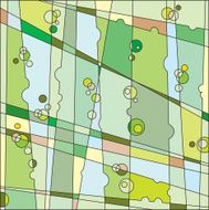 Verdure background