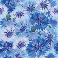 Blue flower cornflowers seamless wallpaper N2