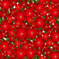 Christmas seamless background with red poinsettia flowers Vector illustration