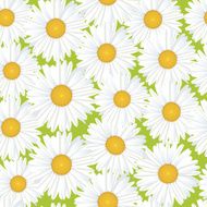 Flowers seamless texture Spring wallpaper