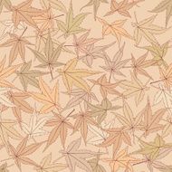 Autumn leaves seamless background N5