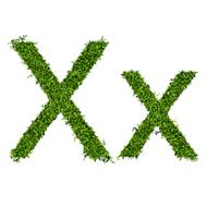 Isolated grass alphabet N12