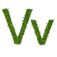 Isolated grass alphabet N13