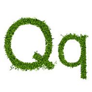 Isolated grass alphabet N14