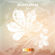autumn leaves N148