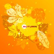 Autumn Leaf N15