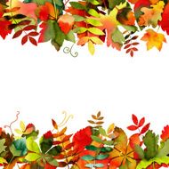 Watercolor Autumn Leaves Background