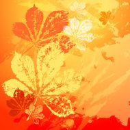 autumn leaves N149