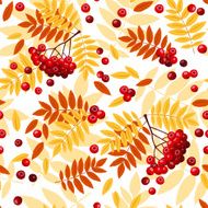 hot colors Seamless pattern with rowan leaves and rowanberries