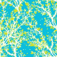 spring branches N6
