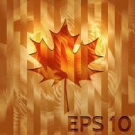 Maple Leaf on Hardwood Texture