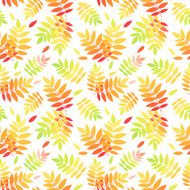 Seamless pattern with autumn colorful rowan leaves Vector illustration N2