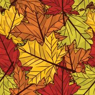 Autumn pattern N27