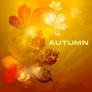 autumn leaves N150