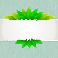 Green leaf with paper background