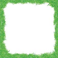green gress