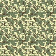 Military camouflage seamless texture N2