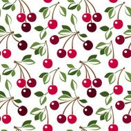 Seamless pattern with cherry Vector illustration N2