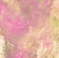 Abstract Watercolor nature painting N1066