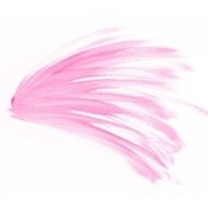 Colorful water color painting background N317