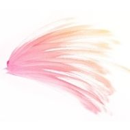 Colorful water color painting background N322