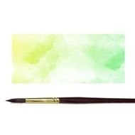Colorful water color painting background N366