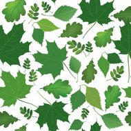 Summer leaves vector seamless pattern over white