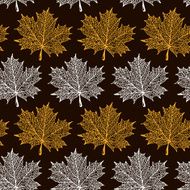 Maple leaves pattern