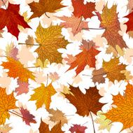 Autumn maple leaves seamless background N3