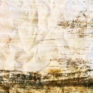 Grunge painted torn paper texture N2
