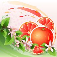 Abstract background with fresh grapefruit