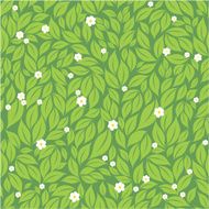 Green leaves and flowers