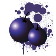 blueberries N3