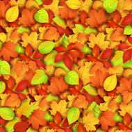 autumn leaves N152