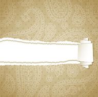 Torn paper with a paisley pattern N6