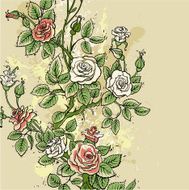 Roses N100