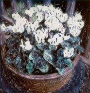 Potted Cyclamen