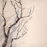 Watercolor painting Bare branches of an old tree N6