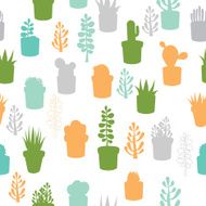Succulent mix N3