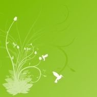 colibri N7