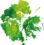beautiful leaf of a tree painted watercolors imprint N4