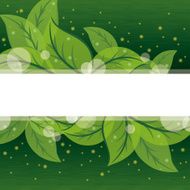 Background of leaves N3