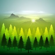 green forest with snow N2
