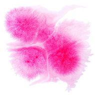 watercolor N279