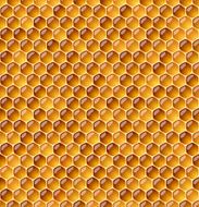 honeycomb N4