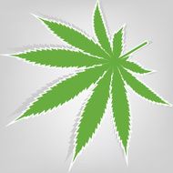 Cannabis leaf Green sticker Vector