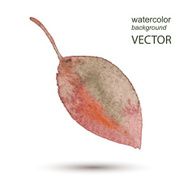 Abstract leaf watercolor hand painted background